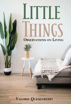 Little Things by author Valorie Quesenberry